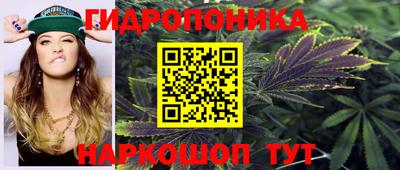 амф Дубна